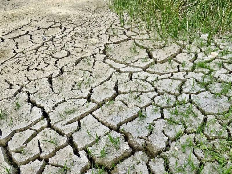 Avala SCJN desaparición del Fondo para el Cambio Climático