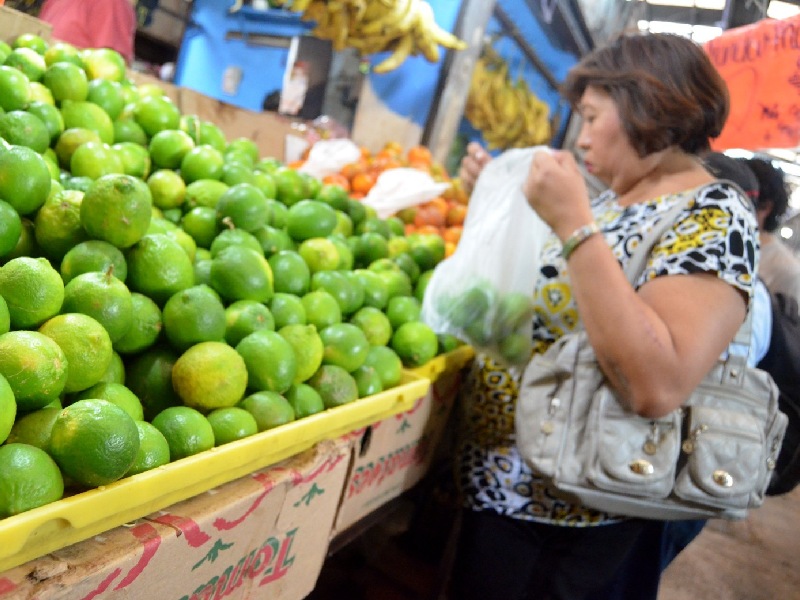Se estabiliza el precio del limón en Yucatán