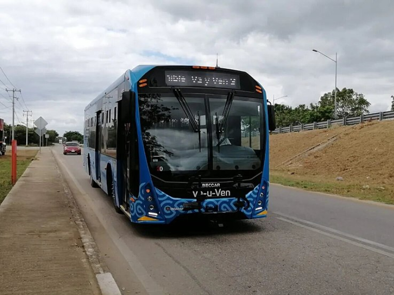 La Agencia de Transporte de Yucatán reactiva gradualmente el servicio de transporte público en Mérida tras el paso del Huracán Milton.