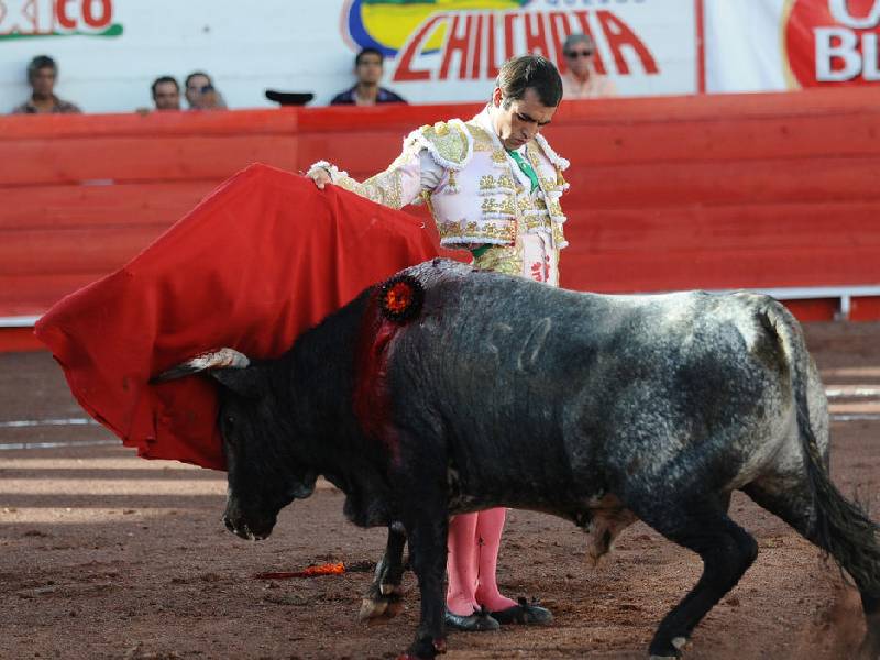 el cejas plaza de toros merida