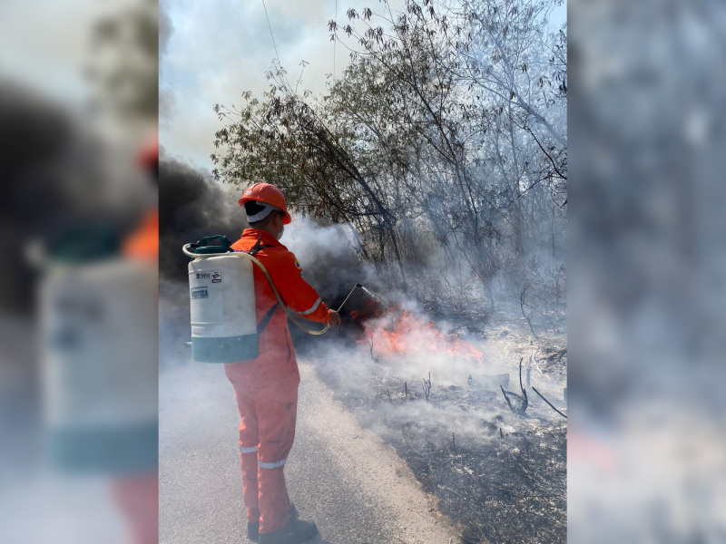 Se detectan más de 4,500 alertar de incendios en Yucatán