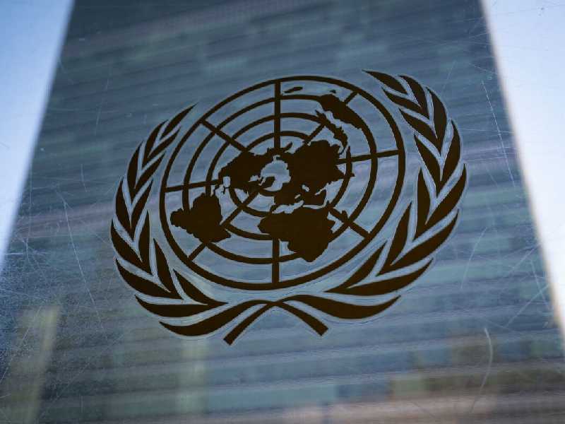 ONU pide 100 mil mdd para reducir brecha digital