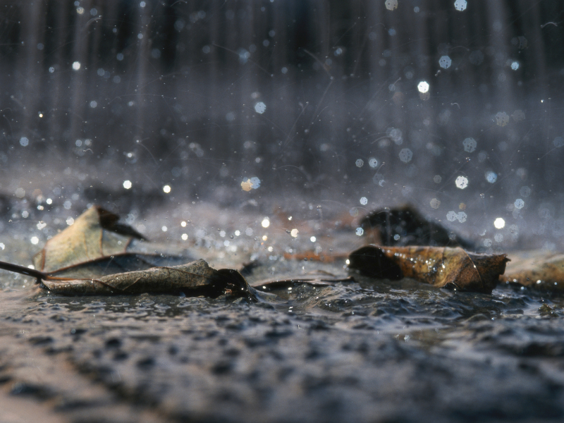 Clima Yucatán cielo soleado con probabilidad de lluvia