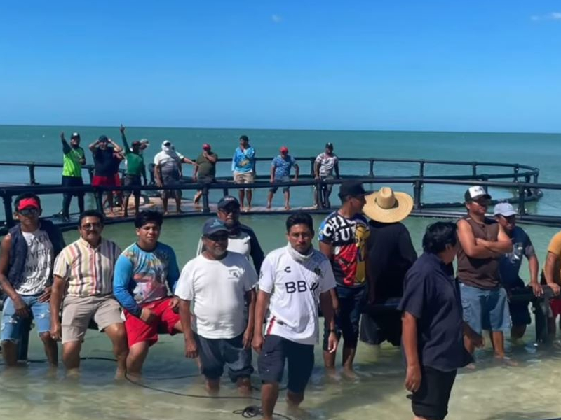 En marcha, el proyecto de jaulas flotantes