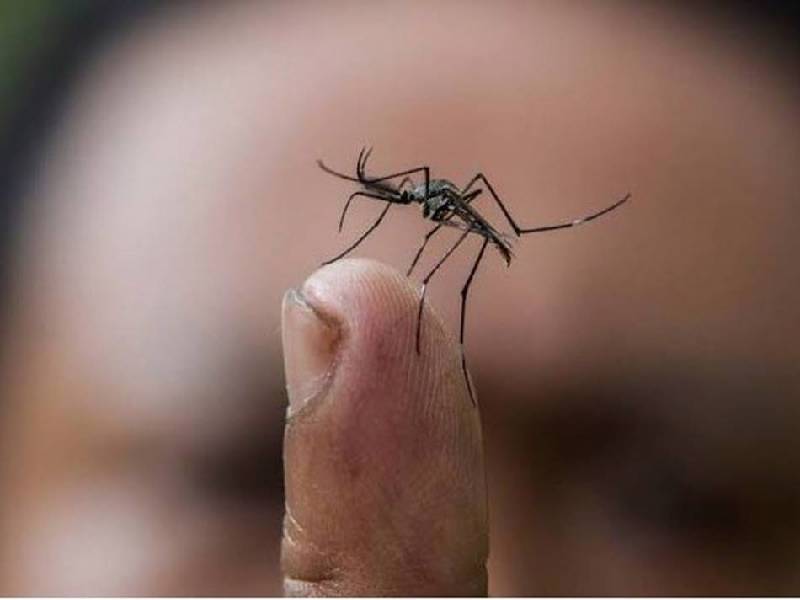 Dengue continúa al alza en Yucatán