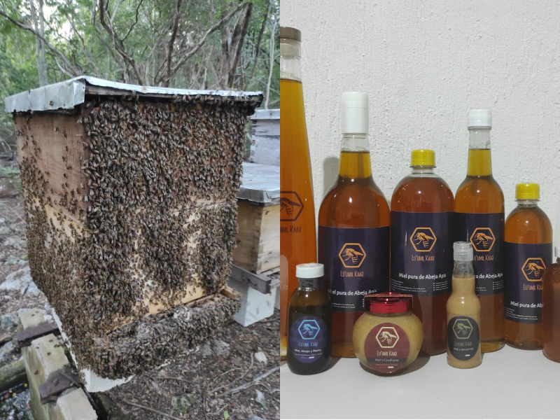 En Xcunyá producen aderezos de miel con sabores