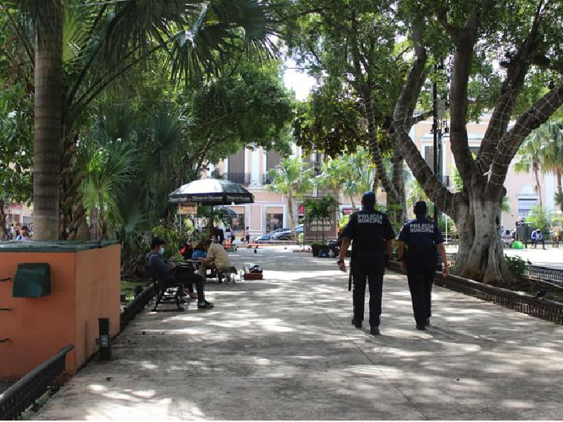 Hombre en situación de calle fallece bajo un árbol en Mérida