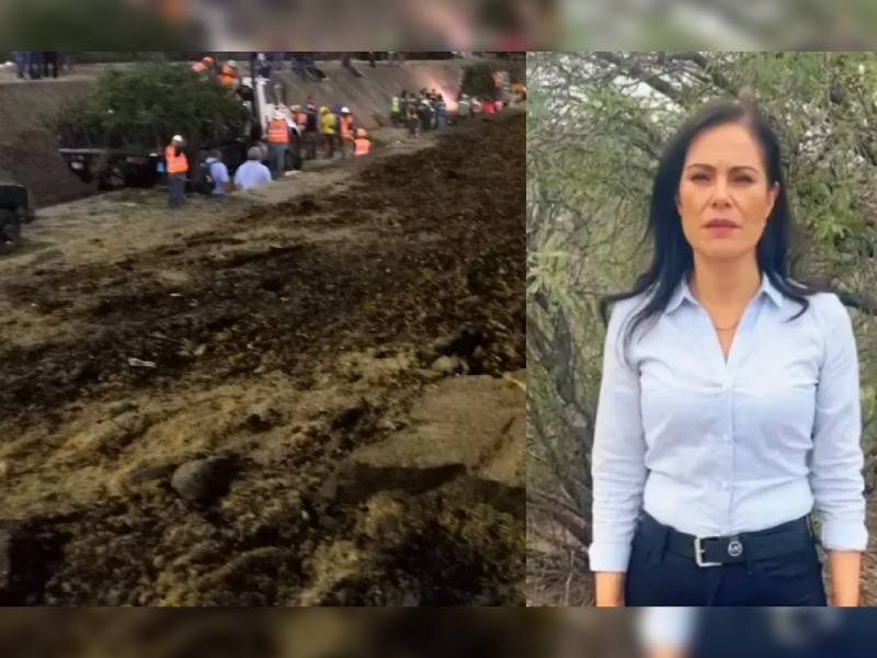 Alcaldesa de León se arrepiente por talar árboles para estacionamiento 