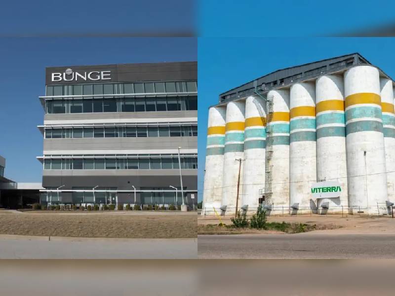 bunge viterra fusion