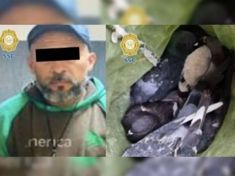 Detienen a hombre que atrapaba palomas para comercio informal en la CDMX