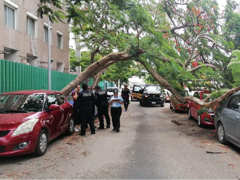 Estragos de la Onda Tropical en Yucatán