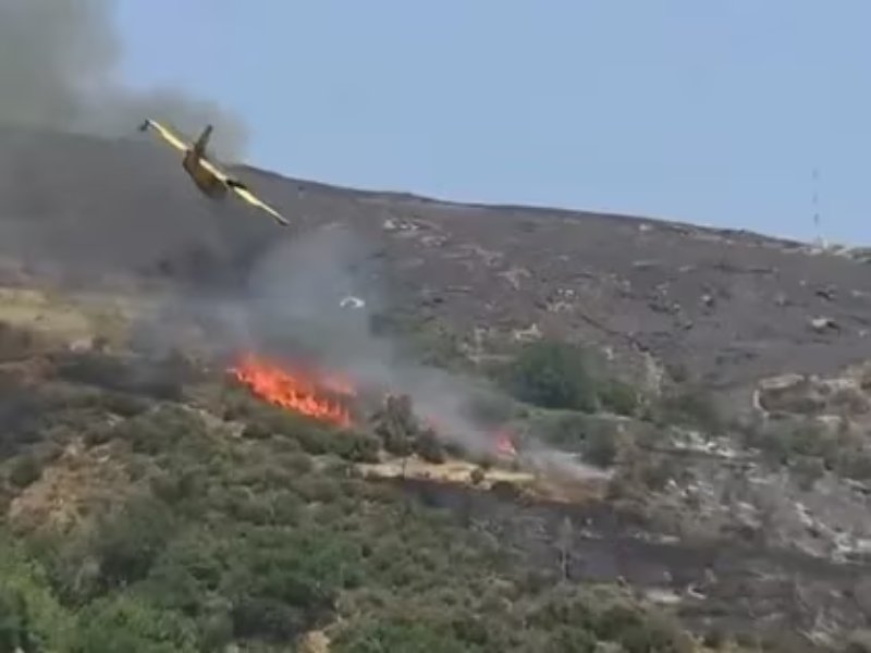 Se estrella avión que luchaba contra incendio en Grecia