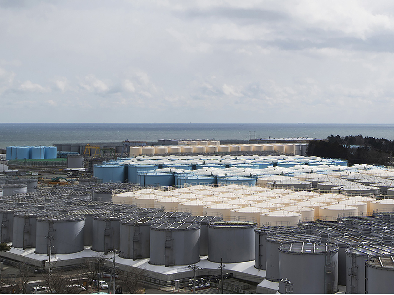 Preocupación ambiental por radiación en aguas de Japón