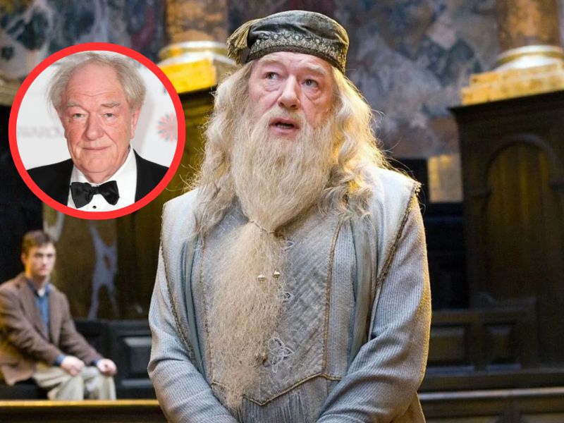Dumbledore 24 horas.