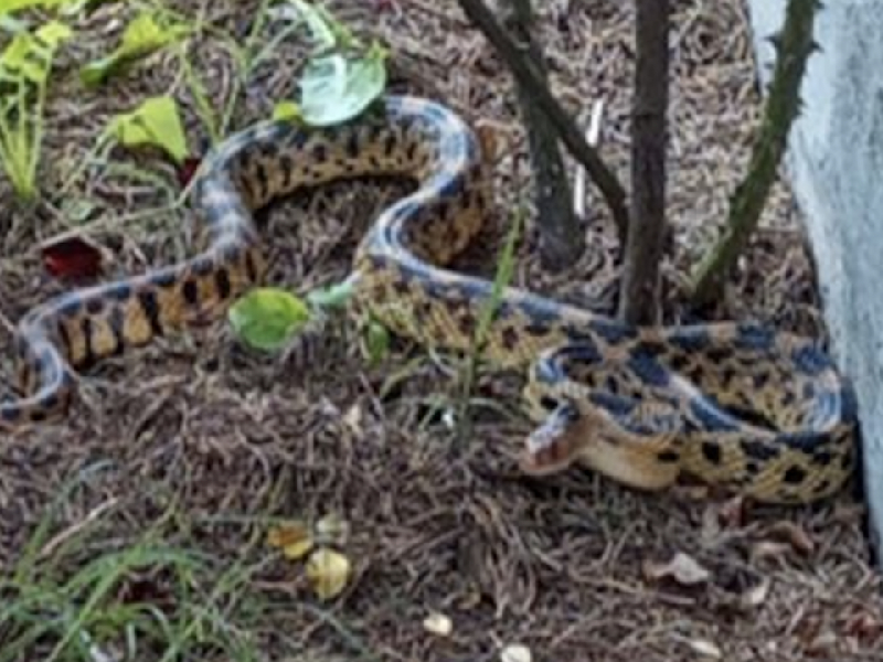 Quintana Roo tendrá su primer simulacro por huracán categoría 3