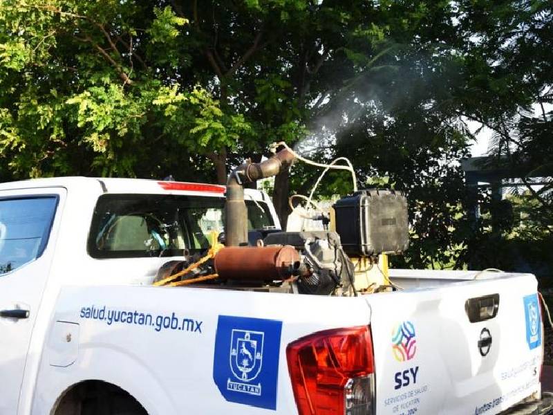 Poniente y oriente de Mérida, ‘focos rojos’ por dengue: SSY