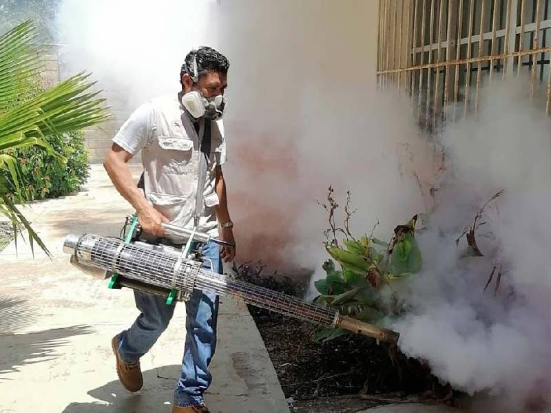 Reportan más de 7 mil 500 casos de dengue en Yucatán
