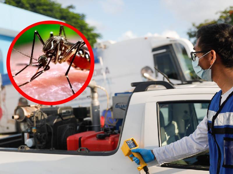 Yucatán rebasa los 8 mil casos de dengue