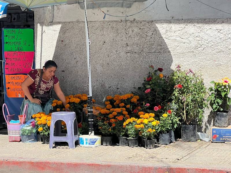 Marchantes ofrecen flores de cempasúchil en mercados de Mérida