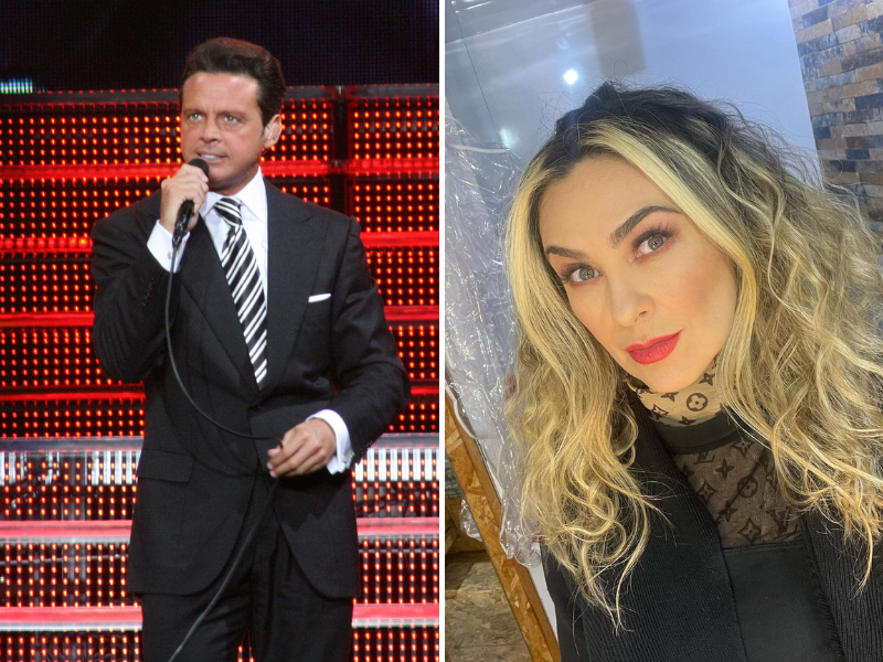 ¡Ya salió el 'Sol' para Aracely Arámbula! Luis Miguel paga pensión millonaria (1)