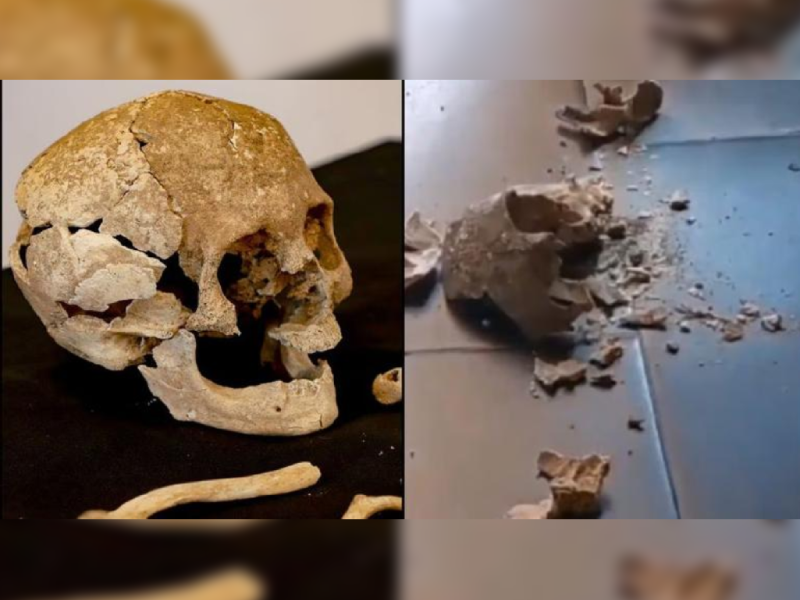 Rompen cráneo de 700 años de antigüedad en Puebla 