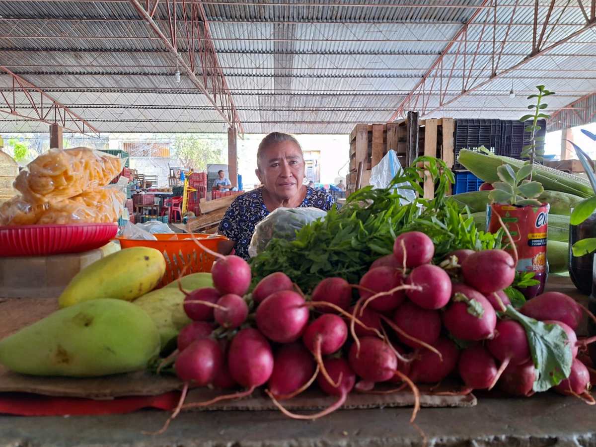 Por inflación se aprietan el cinturón en Yucatán