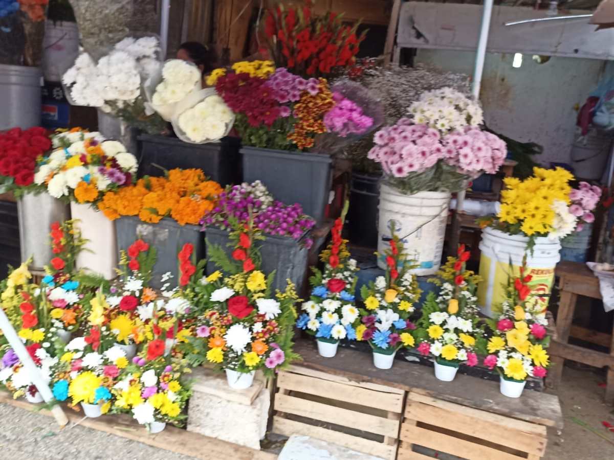 Incrementará venta de flores por el 10 de mayo en Yucatán