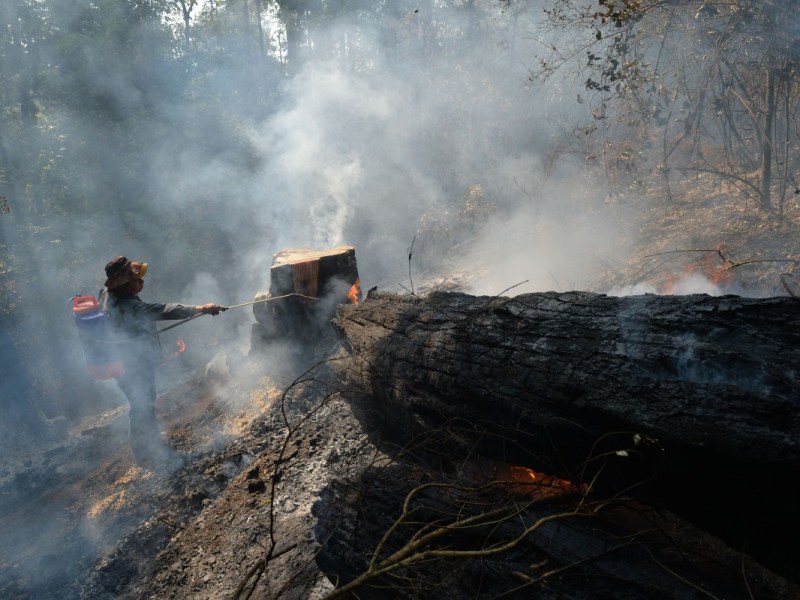 Combaten incendio forestal en turístico pueblo mexicano de Valle de Bravo