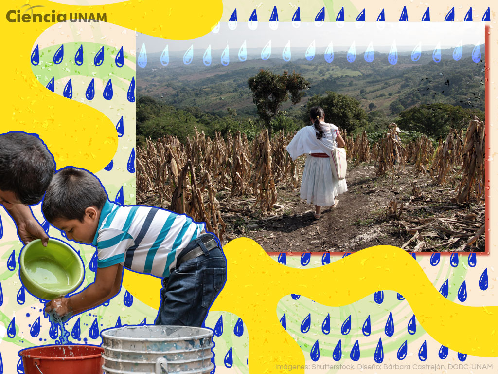 Crisis Hídrica en México: Perspectivas y Soluciones