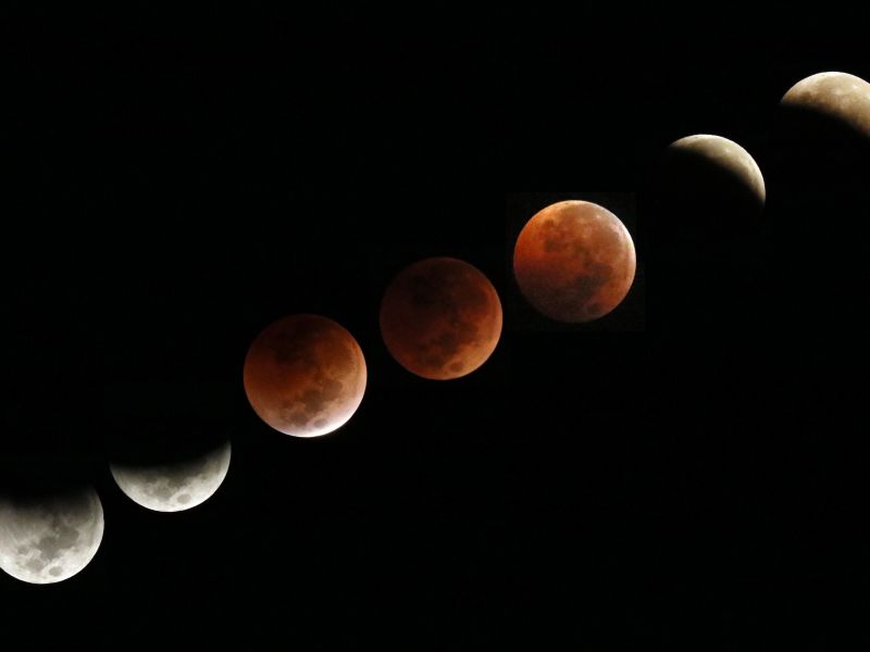 Eclipse lunar de septiembre 2024: observa la superluna y el eclipse parcial el 17 de septiembre. Detalles, horarios y cómo verlo desde México.