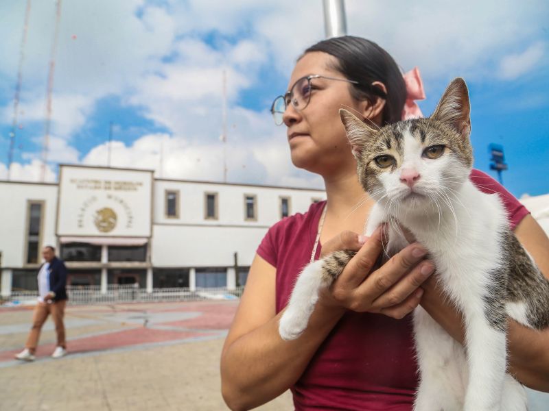 La Clínica Veterinaria Municipal de Mérida ofrecerá esterilizaciones a solo $100 para apoyar la economía local y el bienestar animal.