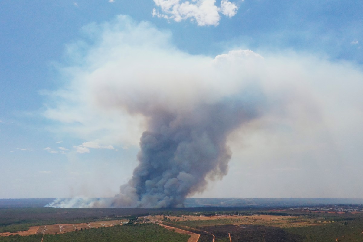 ONG Mighty Earth acusa a grandes frigoríficos de destruir el Pantanal brasileño con agrotóxicos para expandir la ganadería. Impacto ambiental grave.