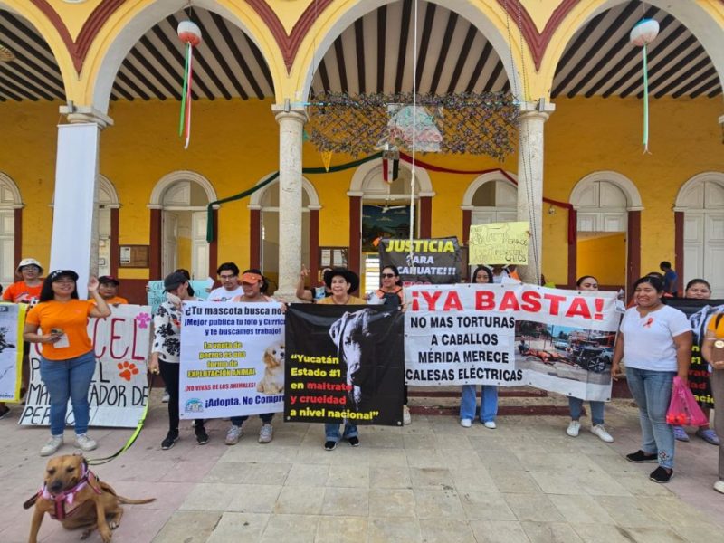 Marchan en Seyé exigiendo justicia para Cacahuate, un perro maltratado que murió por una agresión; piden castigo para el responsable.