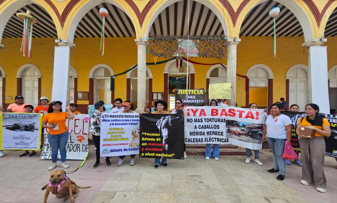 Marchan en Seyé exigiendo justicia para Cacahuate, un perro maltratado que murió por una agresión; piden castigo para el responsable.