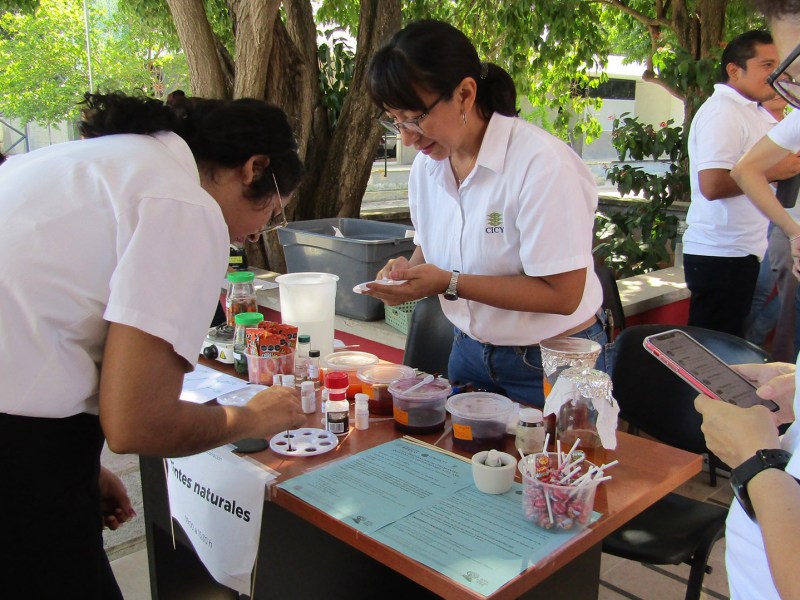 Descubre la ciencia en Casa Abierta 2024 del CICY, con más de 70 actividades el 24 de octubre. Entrada gratuita para todo público.