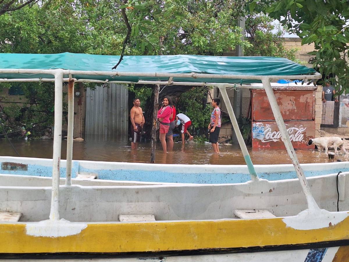 Unámonos para ayudar a los afectados por el huracán Milton en Yucatán. Dona en los centros de acopio y marca la diferencia.