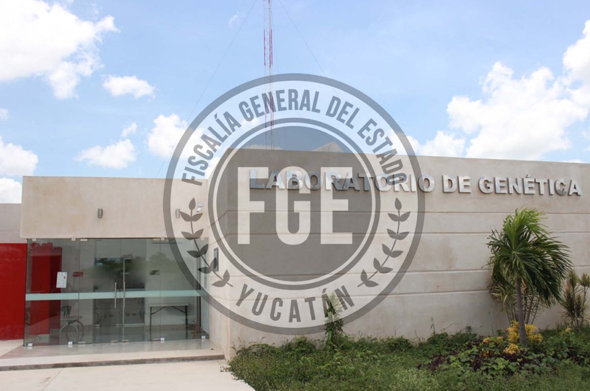 La FGE de Yucatán imputa cargos por violación e intento de homicidio en Las Américas. El acusado permanecerá en prisión preventiva. Octubre 2024.