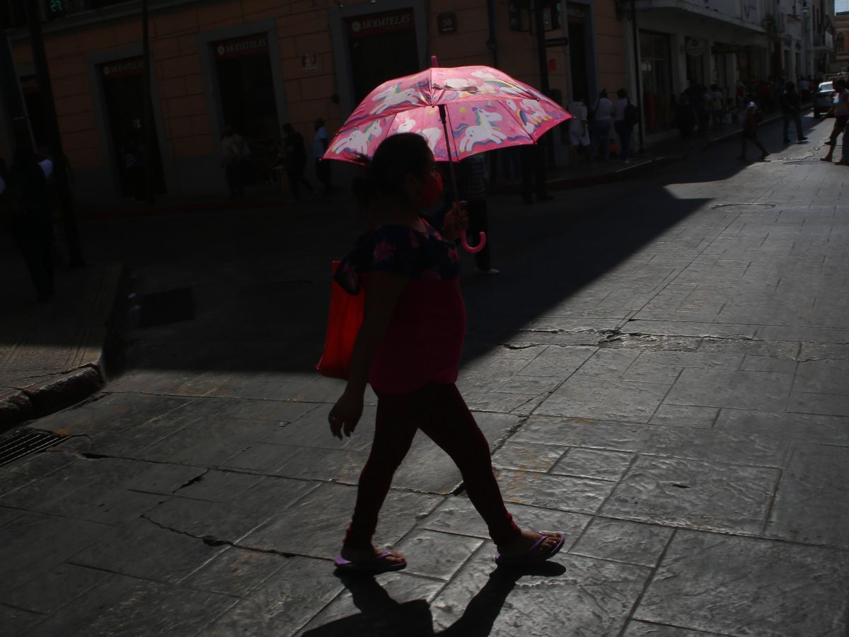 El crecimiento urbano en la península de Yucatán ha generado islas de calor, afectando el clima y la calidad de vida. Conoce más sobre sus impactos.