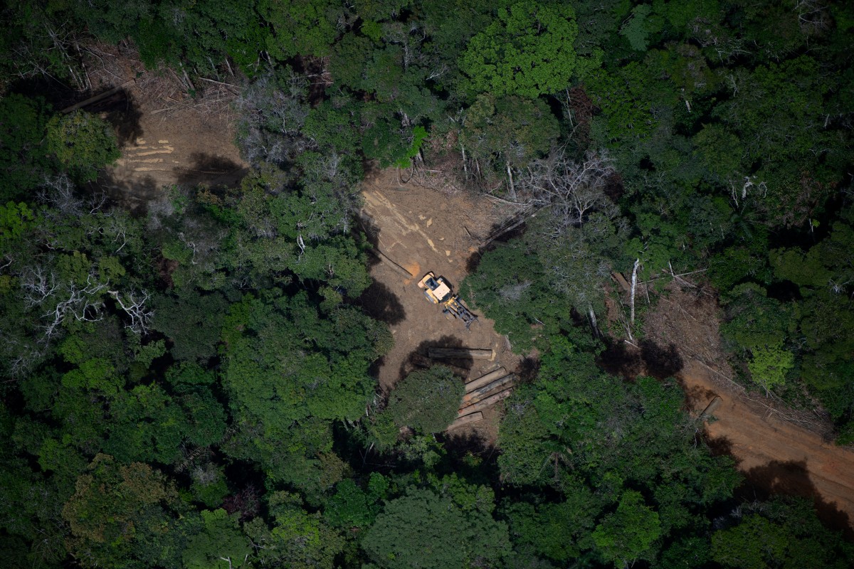 La extracción ilegal de madera en la Amazonía brasileña aumentó 19% en un año, exacerbando la deforestación y el daño ambiental.