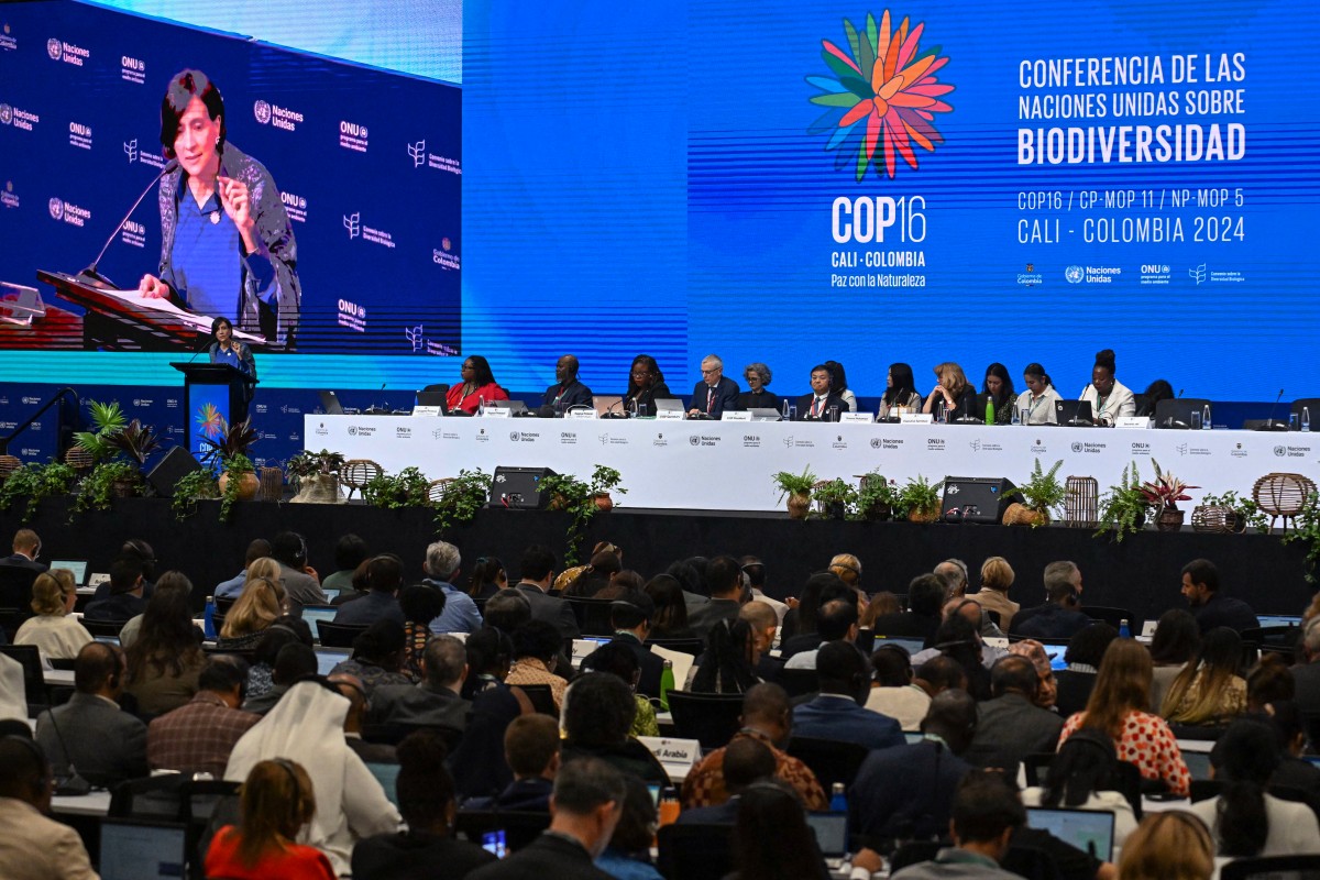 Comienza la COP16 en Cali, Colombia, donde 196 países buscan proteger la biodiversidad global hasta 2030. Urgencia por acuerdos clave.