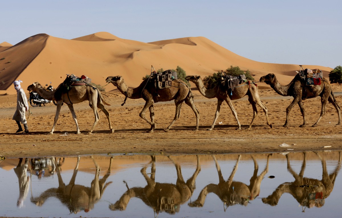 Lluvias torrenciales revitalizan el desierto del Sáhara en Marruecos. Lagos y estanques emergen tras años de sequía. ¡Descubre la transformación!