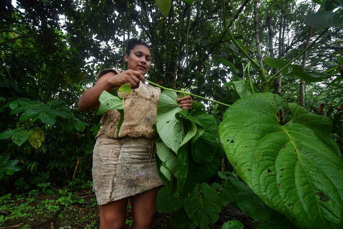 Los indígenas maleku de Costa Rica luchan por preservar su cultura ancestral frente al turismo en la región del volcán Arenal.