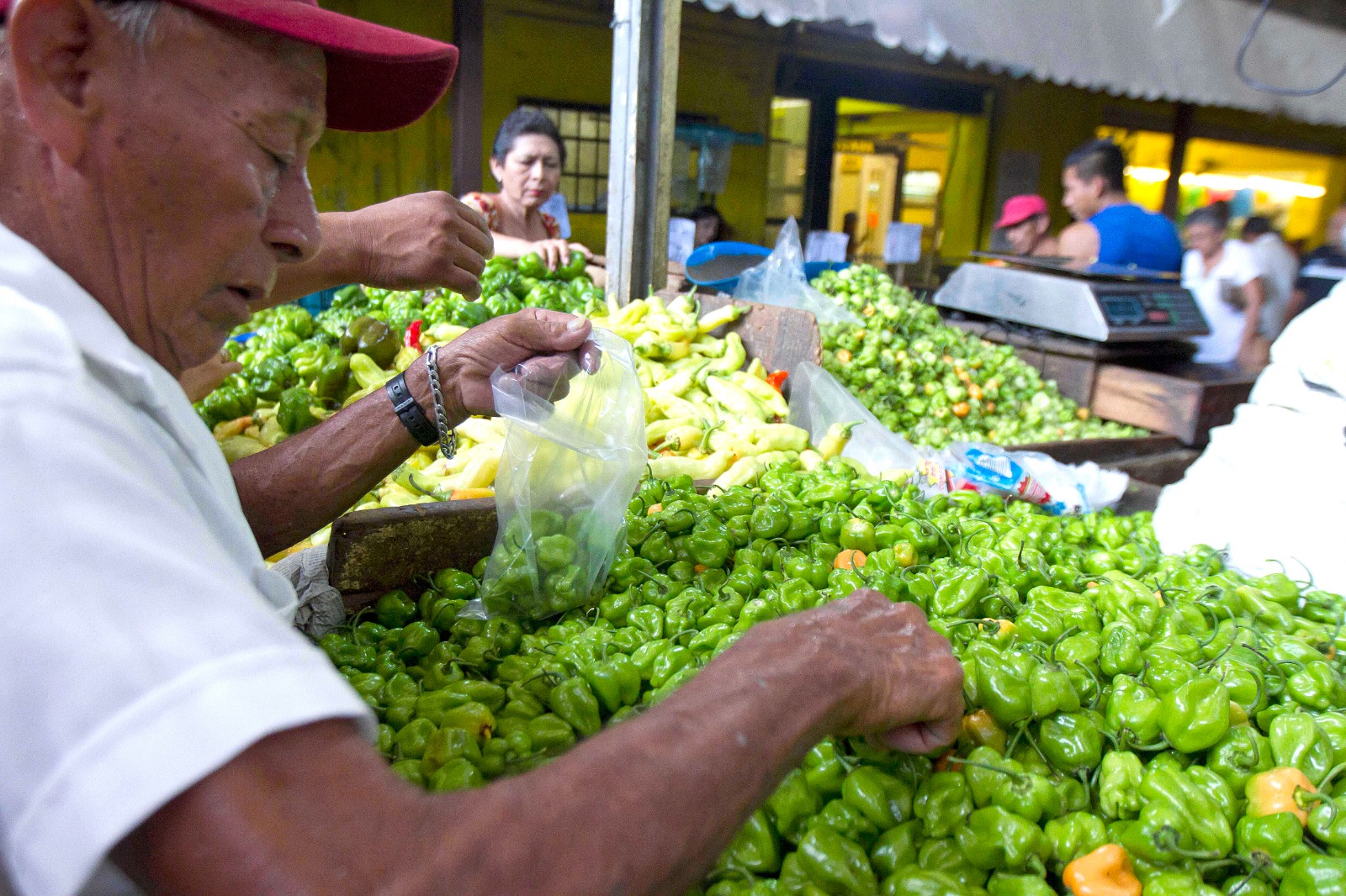 Nota sobre el habanero