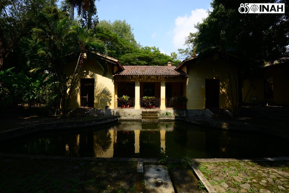 Descubre la construcción de un humedal en el Jardín Etnobotánico de Cuernavaca, un proyecto pionero en gestión hídrica y biodiversidad.