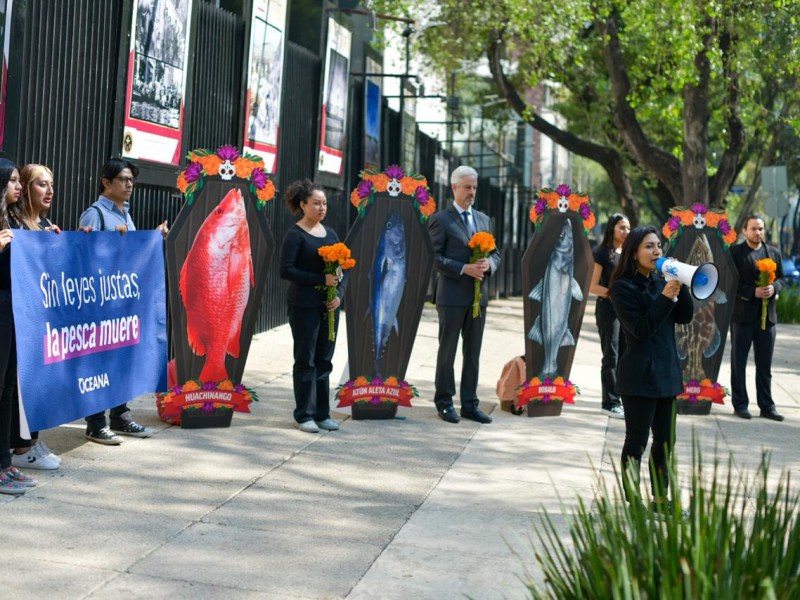 Oceana protesta en el Senado con ataúdes de pescado, pidiendo reformas urgentes para recuperar las especies en peligro en México.