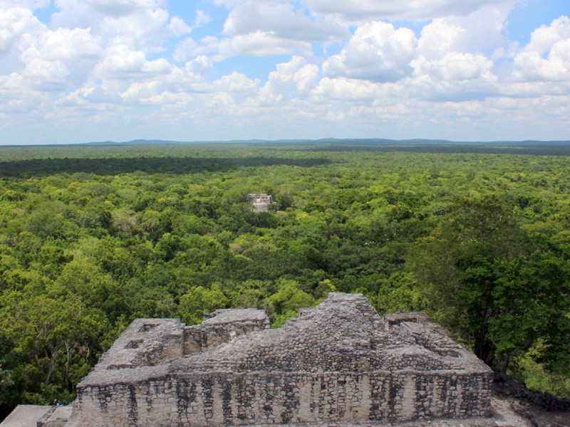 México regresa de la COP16 con avances y desafíos en biodiversidad, destacando el rol de los pueblos originarios en la conservación ambiental.