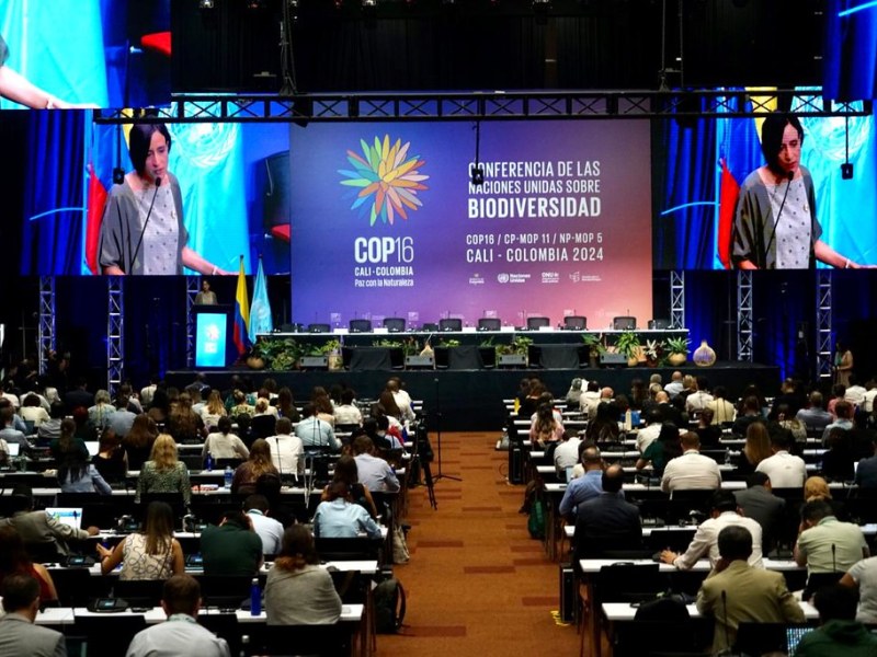 La COP16 concluyó con logros significativos, pero quedaron temas críticos sin resolver que afectan a América Latina.