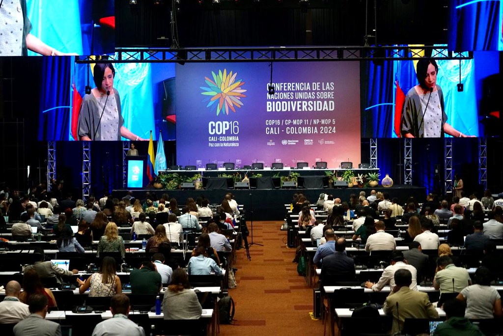 La COP16 concluyó con logros significativos, pero quedaron temas críticos sin resolver que afectan a América Latina.