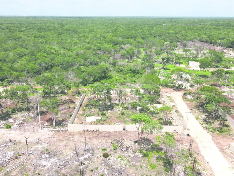 Denuncian venta ilegal de terrenos en la Reserva Cuxtal, Mérida. Autoridades intervienen para proteger el área natural y aplicar sanciones.