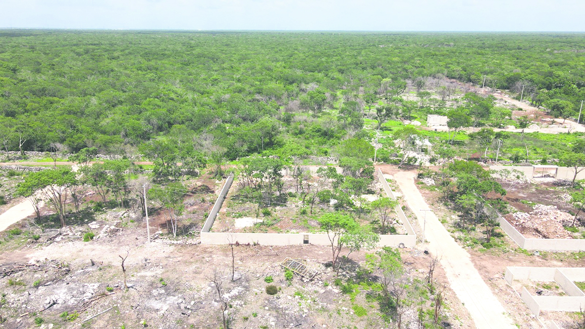 Denuncian venta ilegal de terrenos en la Reserva Cuxtal, Mérida. Autoridades intervienen para proteger el área natural y aplicar sanciones.